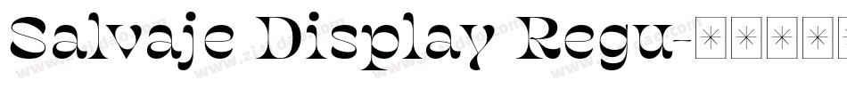 Salvaje Display Regu字体转换